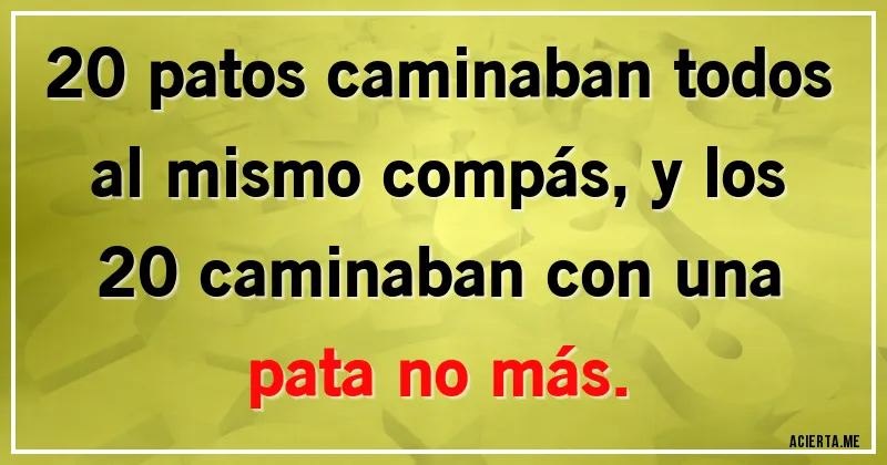 Acertijos - 20 patos caminaban todos al mismo compás, y los 20 caminaban con una pata no más.