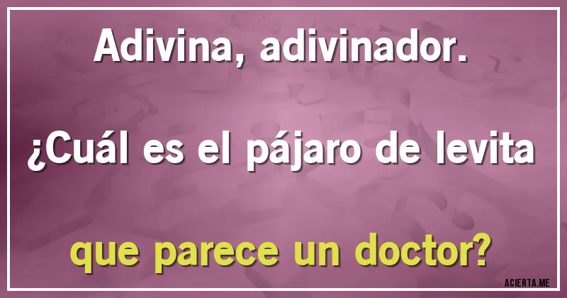 Acertijos - Adivina, adivinador.
¿Cuál es el pájaro de levita que parece un doctor?