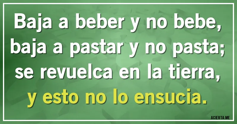 Acertijos - Baja a beber y no bebe,
baja a pastar y no pasta;
se revuelca en la tierra,
y esto no lo ensucia.