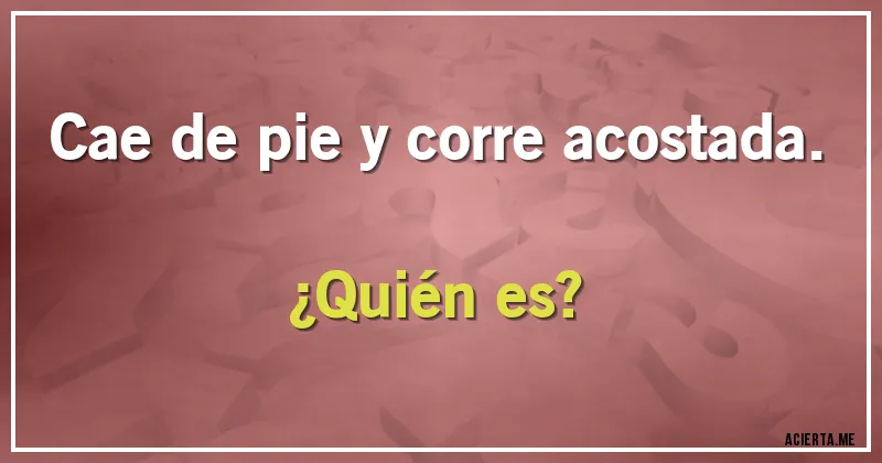Acertijos - Cae de pie y corre acostada.
¿Quién es?