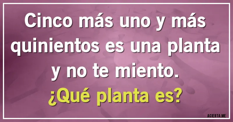 Acertijos - Cinco más uno y más quinientos es una planta y no te miento. 
¿Qué planta es?