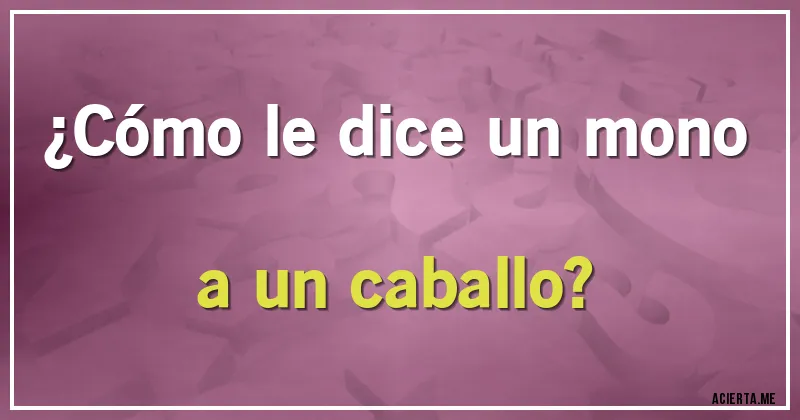 Acertijos - ¿Cómo le dice un mono a un caballo?