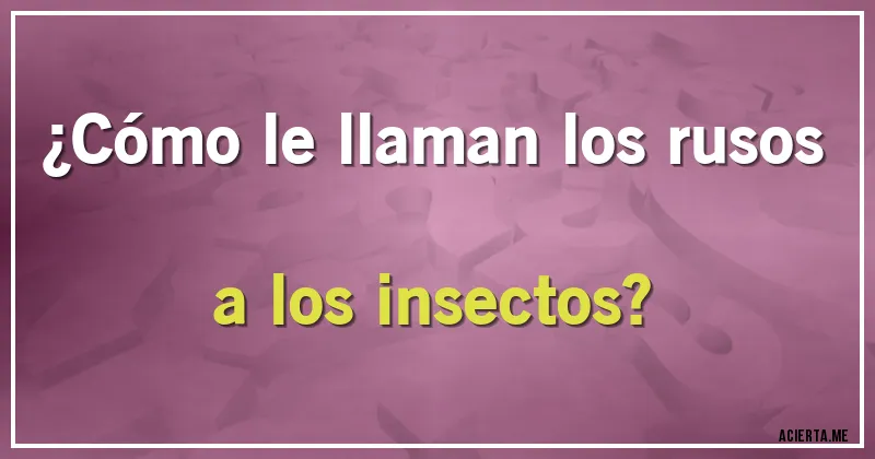 Acertijos - ¿Cómo le llaman los rusos a los insectos?