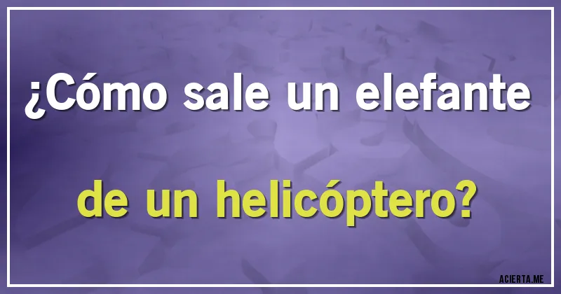 Acertijos - ¿Cómo sale un elefante de un helicóptero?