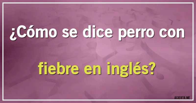 Acertijos - ¿Cómo se dice perro con fiebre en inglés?