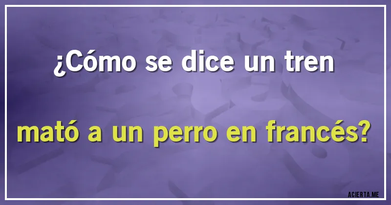 Acertijos - ¿Cómo se dice un tren mató a un perro en francés?