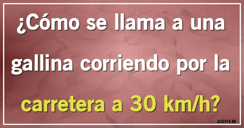 Acertijos - ¿Cómo se llama a una gallina corriendo por la carretera a 30 km/h?