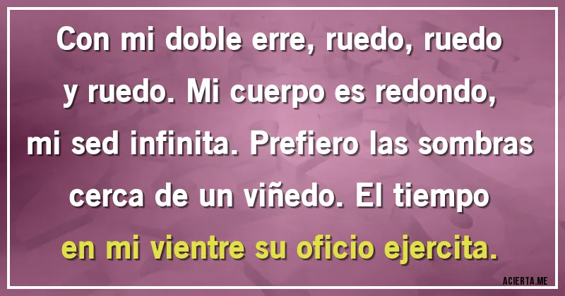 Acertijos - Con mi doble erre, ruedo, ruedo y ruedo. Mi cuerpo es redondo, mi sed infinita. Prefiero las sombras cerca de un viñedo. El tiempo en mi vientre su oficio ejercita.
