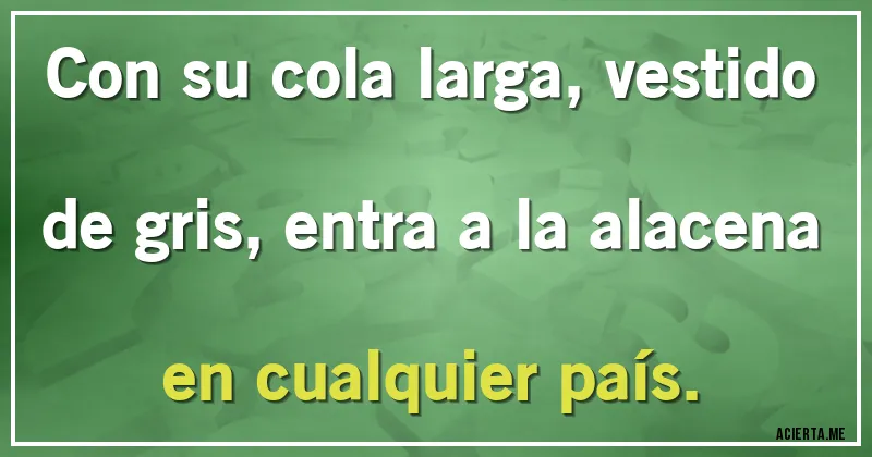 Acertijos - Con su cola larga, vestido de gris, entra a la alacena en cualquier país.