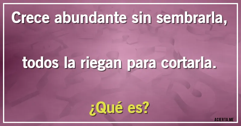 Acertijos - Crece abundante sin sembrarla, todos la riegan para cortarla.
¿Qué es?