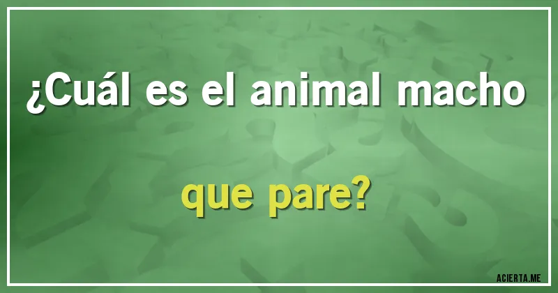 Acertijos - ¿Cuál es el animal macho que pare?