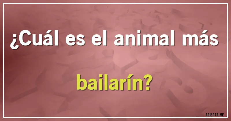 Acertijos - ¿Cuál es el animal más bailarín?