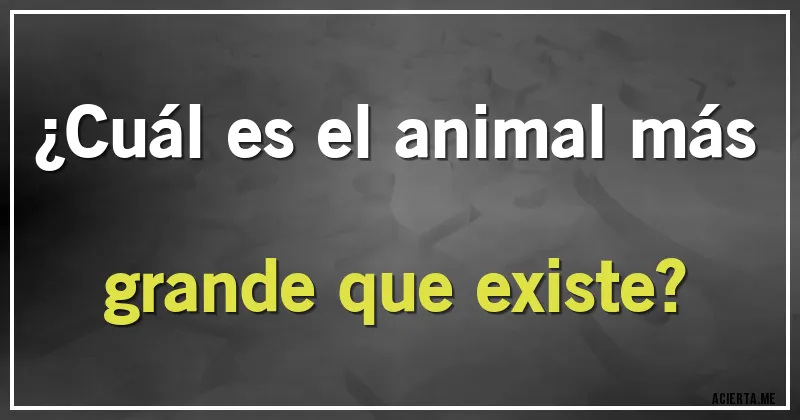Acertijos - ¿Cuál es el animal más grande que existe?