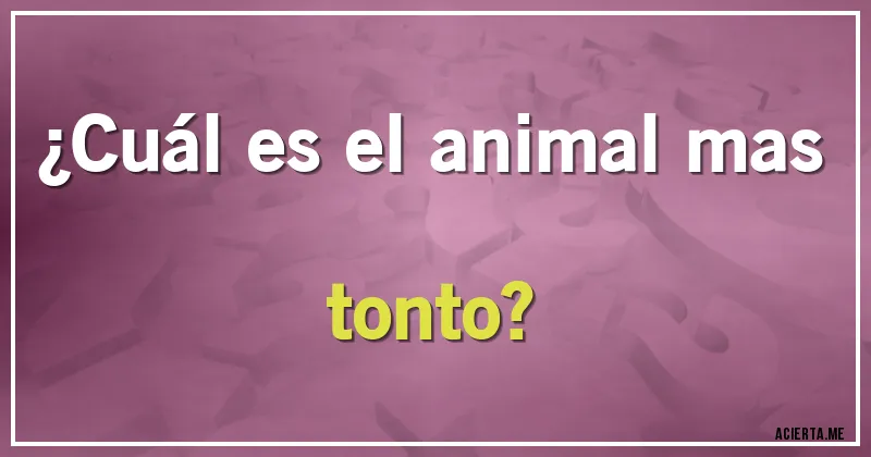 Acertijos - ¿Cuál es el animal mas tonto?