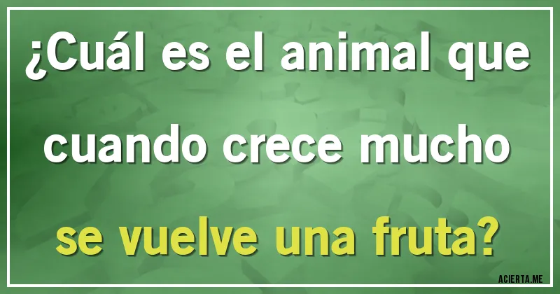 Acertijos - ¿Cuál es el animal que cuando crece mucho se vuelve una fruta?
