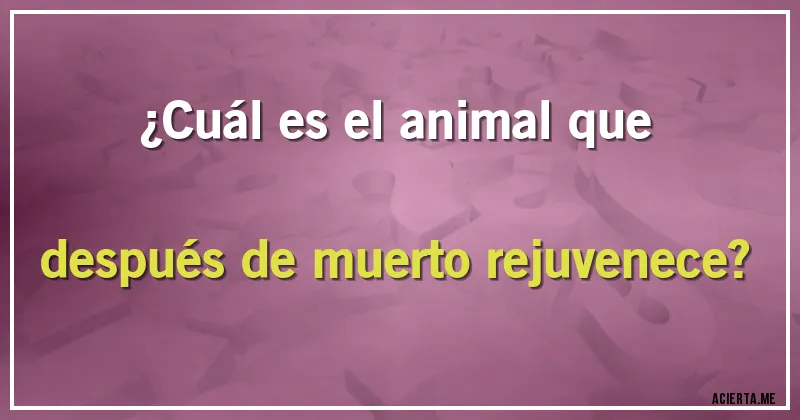 Acertijos - ¿Cuál es el animal que después de muerto rejuvenece?