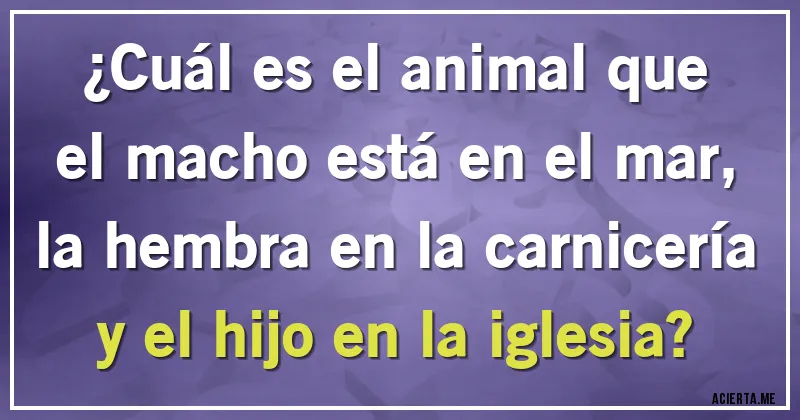 Acertijos - ¿Cuál es el animal que el macho está en el mar, la hembra en la carnicería y el hijo en la iglesia?