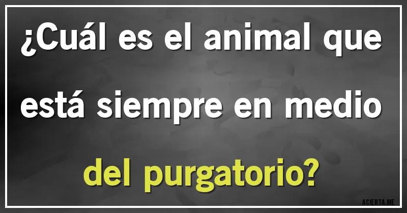 Acertijos - ¿Cuál es el animal que está siempre en medio del purgatorio?