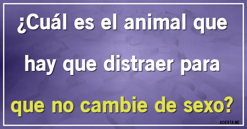 Acertijos - ¿Cuál es el animal que hay que distraer para que no cambie de sexo?