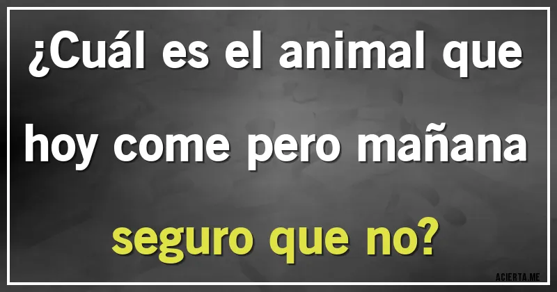 Acertijos - ¿Cuál es el animal que hoy come pero mañana seguro que no?