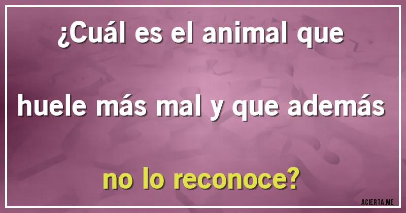 Acertijos - ¿Cuál es el animal que huele más mal y que además no lo reconoce?