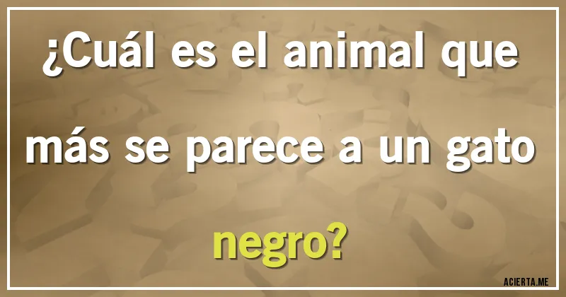 Acertijos - ¿Cuál es el animal que más se parece a un gato negro?