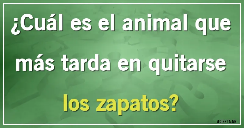 Acertijos - ¿Cuál es el animal que más tarda en quitarse los zapatos?