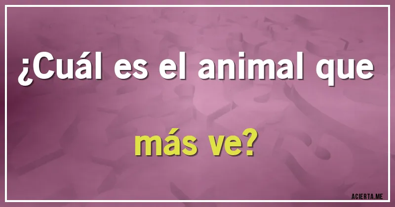 Acertijos - ¿Cuál es el animal que más ve?