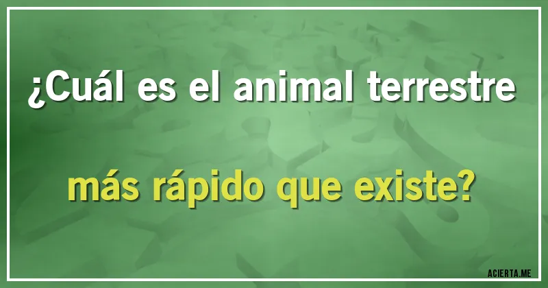 Acertijos - ¿Cuál es el animal terrestre más rápido que existe?