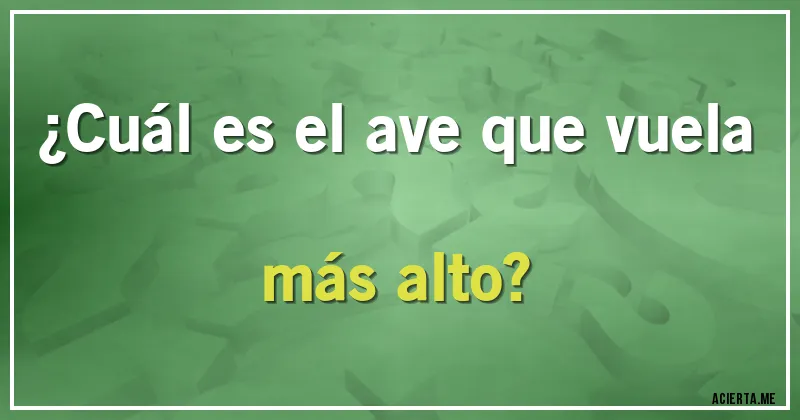 Acertijos - ¿Cuál es el ave que vuela más alto?