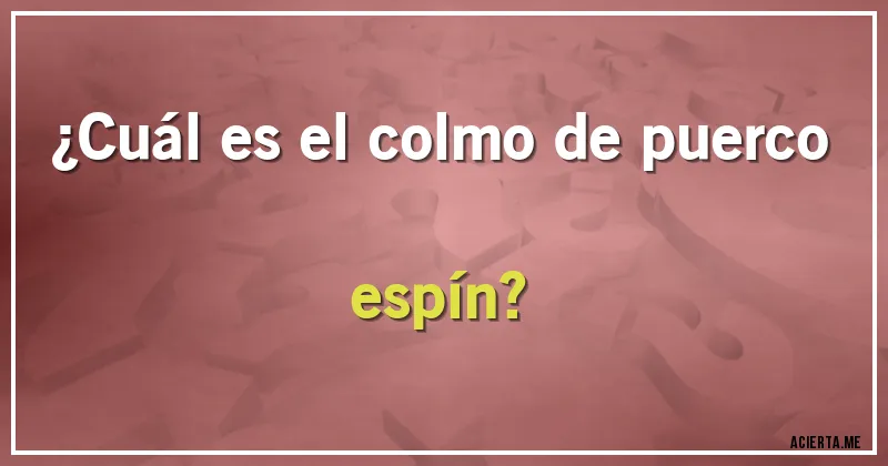 Acertijos - ¿Cuál es el colmo de puerco espín?