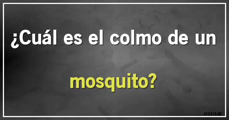Acertijos - ¿Cuál es el colmo de un mosquito?