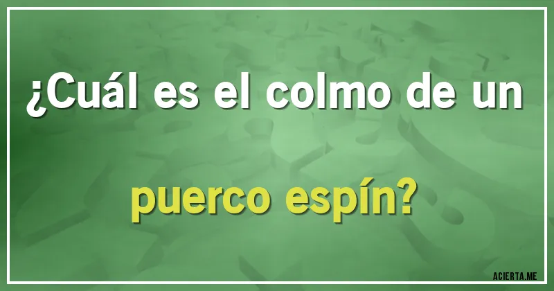 Acertijos - ¿Cuál es el colmo de un puerco espín?