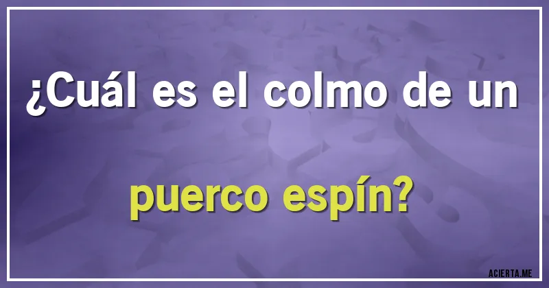 Acertijos - ¿Cuál es el colmo de un puerco espín?