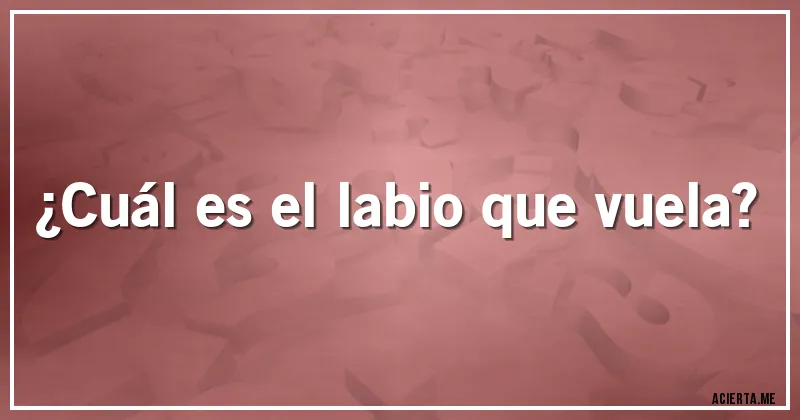 Acertijos - ¿Cuál es el labio que vuela?