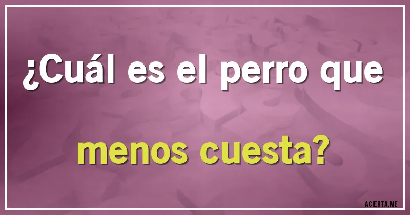 Acertijos - ¿Cuál es el perro que menos cuesta?