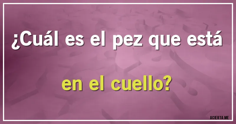 Acertijos - ¿Cuál es el pez que está en el cuello?