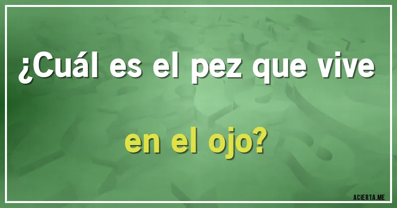 Acertijos - ¿Cuál es el pez que vive en el ojo?