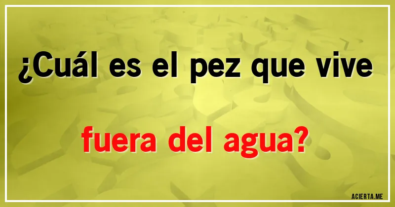 Acertijos - ¿Cuál es el pez que vive fuera del agua?