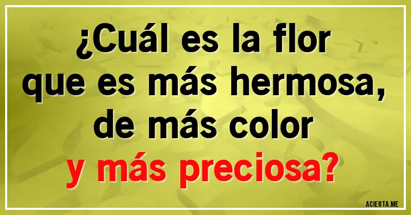 Acertijos - ¿Cuál es la flor
que es más hermosa,
de más color
y más preciosa?