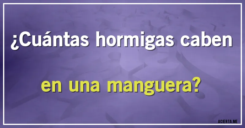 Acertijos - ¿Cuántas hormigas caben en una manguera? Acertijos - ¿Cuántas hormigas caben en una manguera?