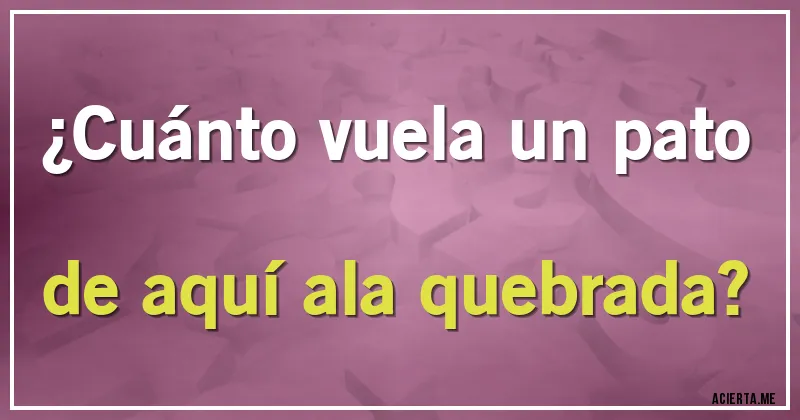 Acertijos - ¿Cuánto vuela un pato de aquí ala quebrada?