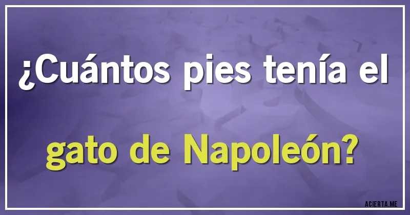 Acertijos - ¿Cuántos pies tenía el gato de Napoleón?