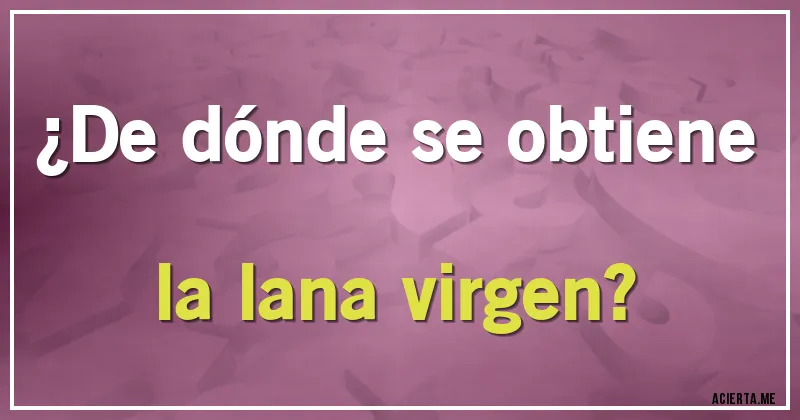 Acertijos - ¿De dónde se obtiene la lana virgen?