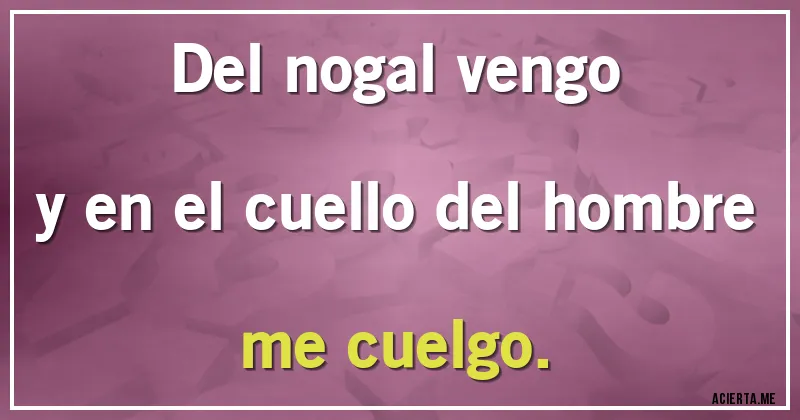 Acertijos - Del nogal vengo
y en el cuello del hombre me cuelgo.