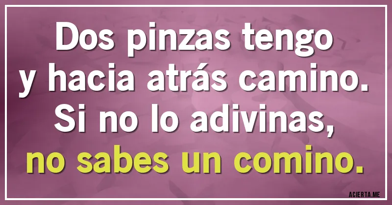 Acertijos - Dos pinzas tengo 
y hacia atrás camino.
Si no lo adivinas,
no sabes un comino.
