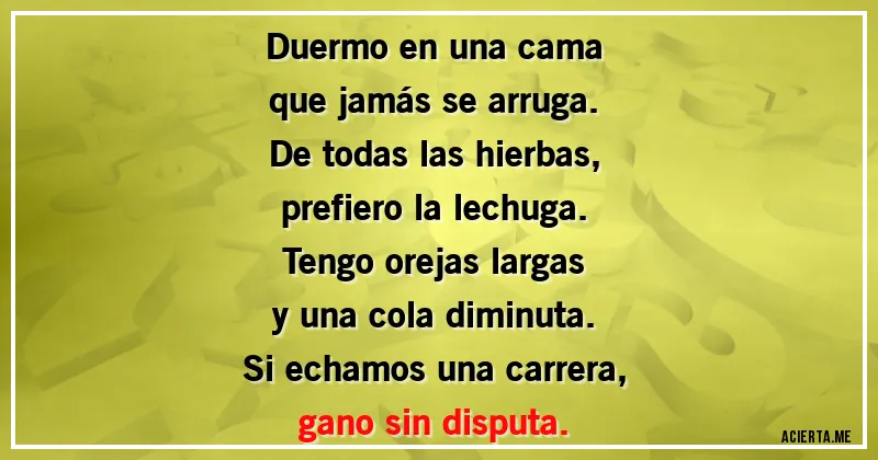Acertijos - Duermo en una cama
que jamás se arruga.
De todas las hierbas,
prefiero la lechuga.
Tengo orejas largas
y una cola diminuta.
Si echamos una carrera,
gano sin disputa.