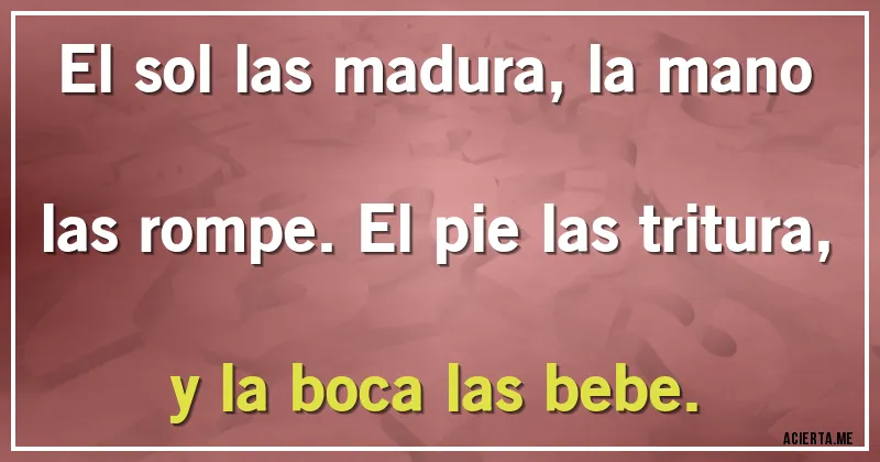 Acertijos - El sol las madura, la mano las rompe. El pie las tritura, y la boca las bebe.