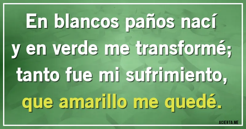Acertijos - En blancos paños nací y en verde me transformé;
tanto fue mi sufrimiento, que amarillo me quedé.