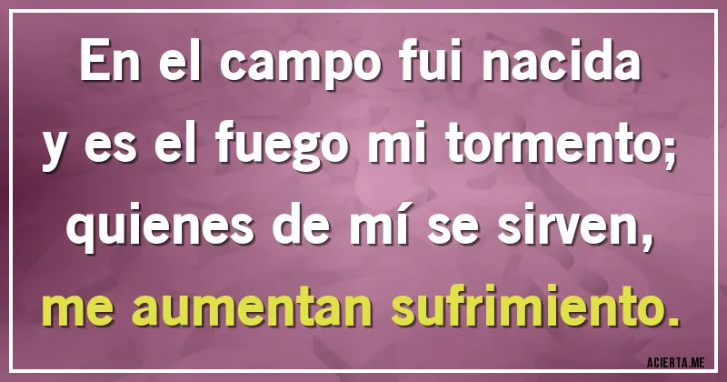 Acertijos - En el campo fui nacida
y es el fuego mi tormento;
quienes de mí se sirven,
me aumentan sufrimiento.